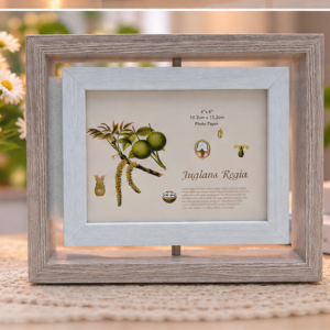 360-degree rotating wooden photo frame features